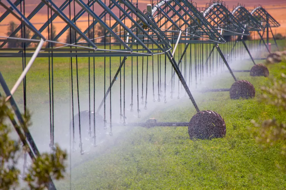 Agriculture